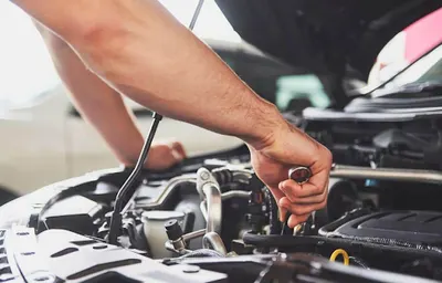 Max - Pon Wróbel Arleta